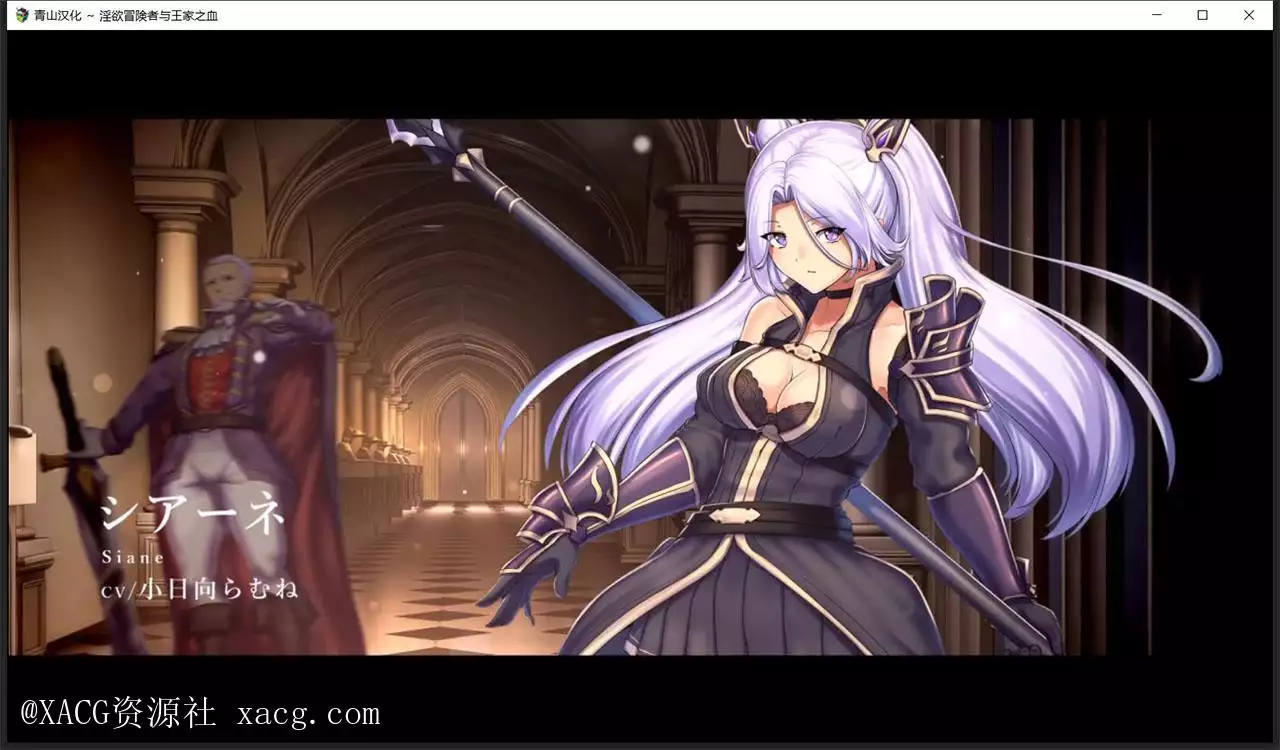 【爆款大作RPG/汉化】淫欲冒险者与王家之血 PC+安卓 空白精翻破解版