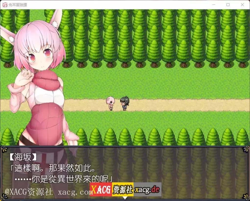 【神奇RPG/官中】兔耳冒险谭：打情骂俏的同时猜谜拯救世界 PC+安卓 官方中文版